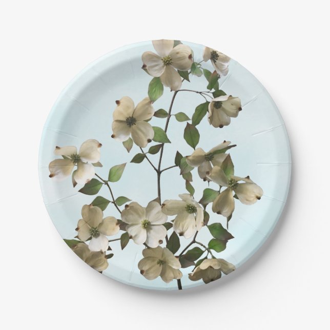 Blossoming White Dogwood Flowers Paper Plates (Front)
