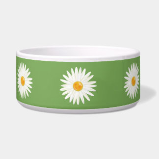 Blossoming White Floral Daisy Flowers On Green Bowl