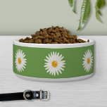 Blossoming White Floral Daisy Flowers On Green Bowl<br><div class="desc">Floral design featuring Destei's illustration of blooming white daisy flowers on a green background color. Cute design for pets named Daisy,  for example.</div>