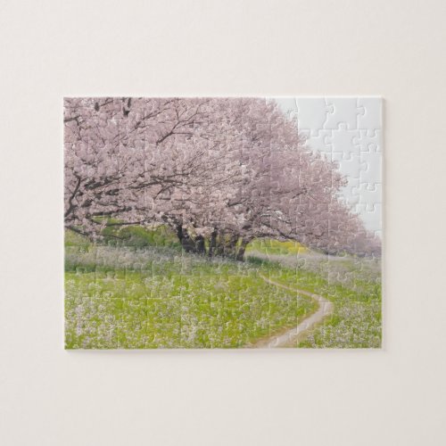 Blossoming Yoshino cherry trees in a field of Jigsaw Puzzle