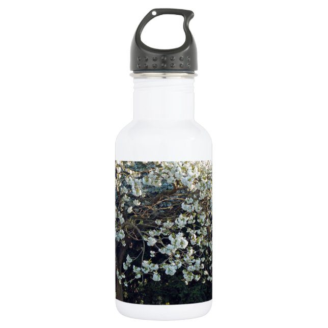 Blossoms Branches Tree Park Spring Flowers Forest Water Bottle (Front)