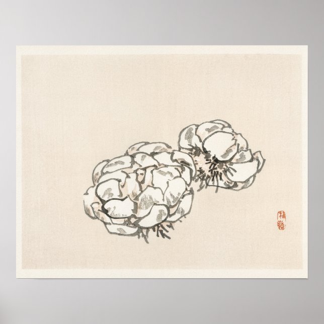 Blossoms by Kōno Bairei (1844-1895) Poster (Front)