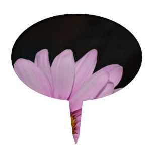 Blossoms Daisy Flowers Peace Love Nature Destiny Cake Topper