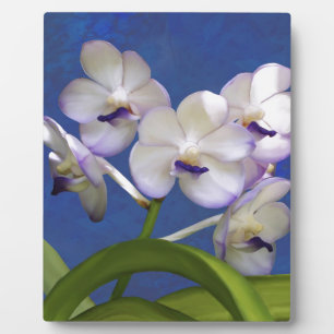 Blossoms Floral Plants Colorful Photograph Art Plaque
