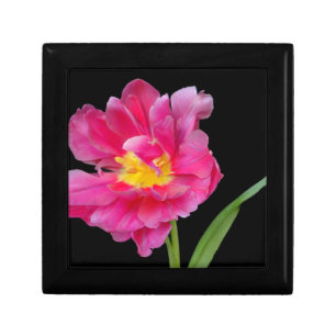Blossoms Flowers Party Shower Congratulations Love Gift Box