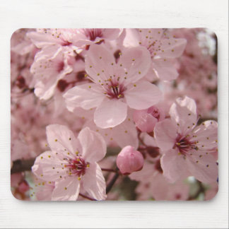 Blossoms mousepad Pink Spring Tree blossoms