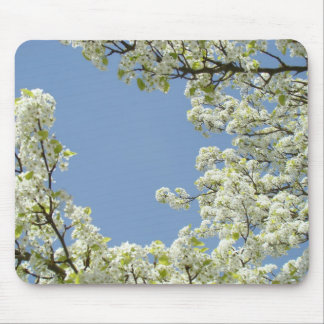 BLOSSOMS MOUSEPADS Tree Blossom Mousepad Blue Sky