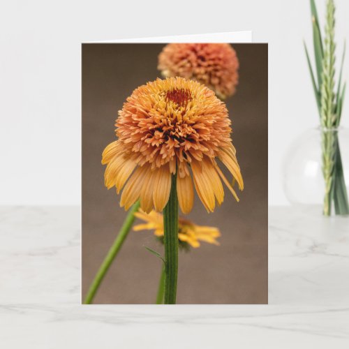 Blossoms of Peace Note Card