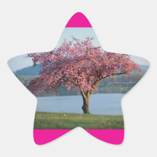 blossoms trees star sticker