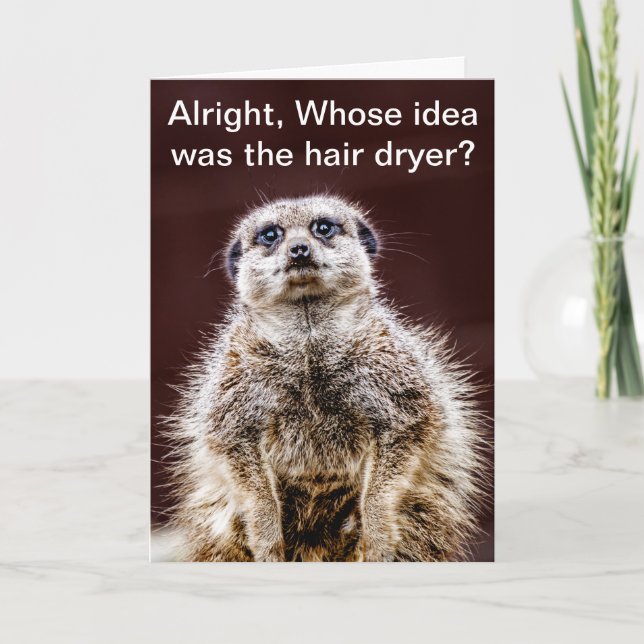 Blowdry meerkat card (Front)