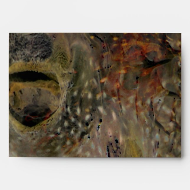 Blowfish Incident Envelope (Front)