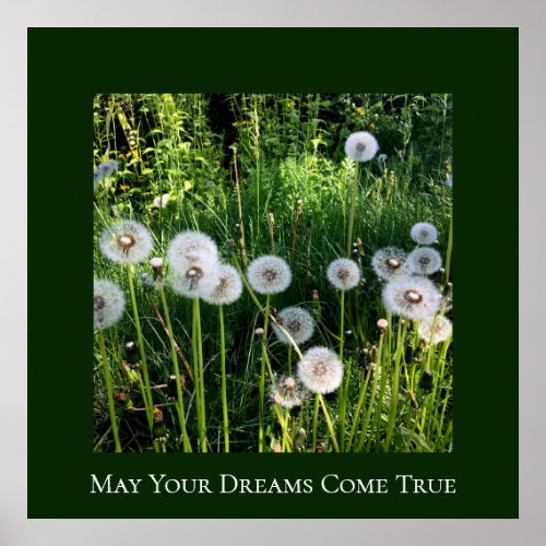 Blowing Dandelion Dreams Wish Botanical Poster