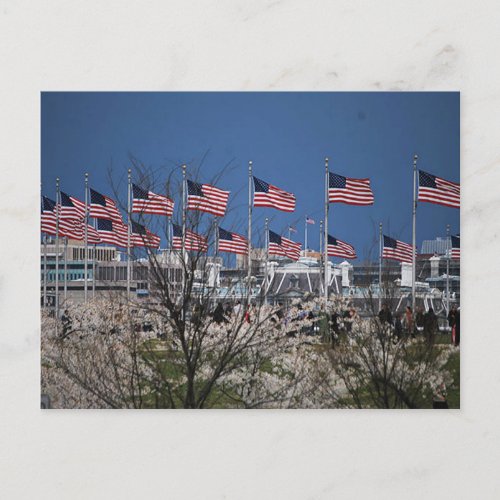 Blowing of the Flags on Capital Grounds Postcard