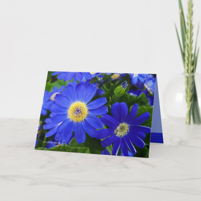 Blu Daisy Letterpress Thank You Card (Front)