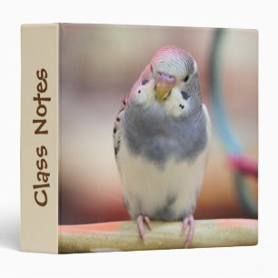 Blue 3 Ring Binder