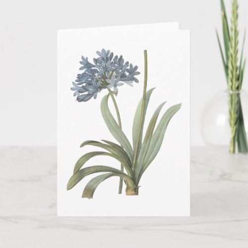 blue African lily Agapanthus by Redout Card