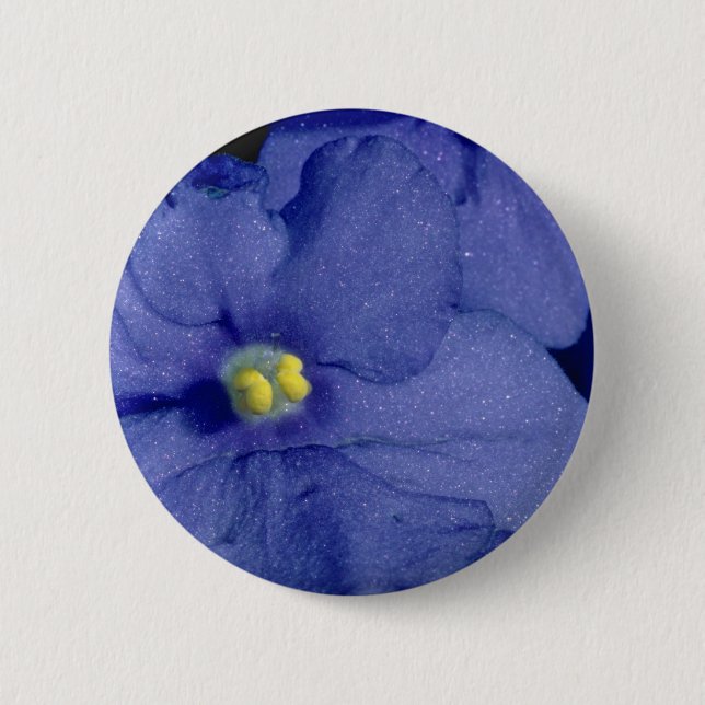 Blue African violet flowers Button (Front)