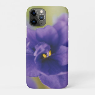 Blue African Violet Saintpaulia iPhone 11 Pro Case