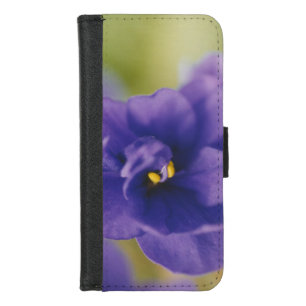 Blue African Violet Saintpaulia iPhone 8/7 Wallet Case