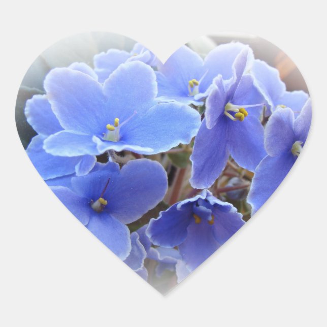 Blue African Violets Heart Sticker (Front)