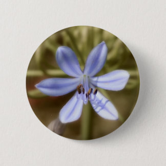 blue agapanthus pinback button