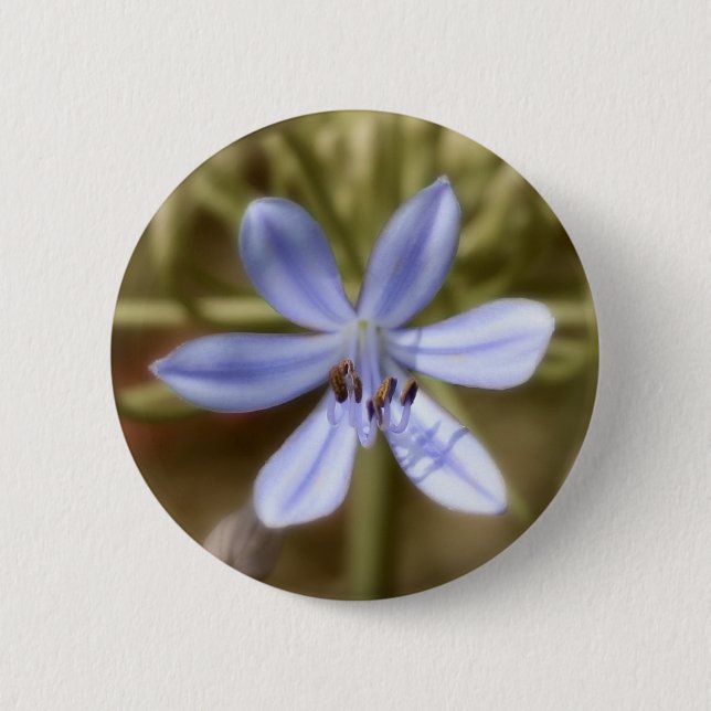 blue agapanthus pinback button (Front)