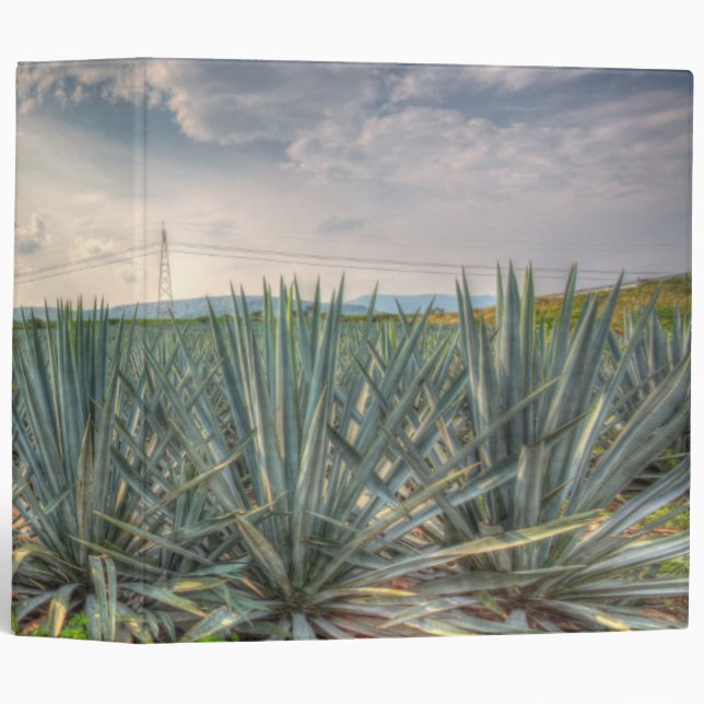 Blue Agave Binder (Front/Spine)
