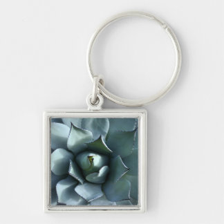 blue agave keychain