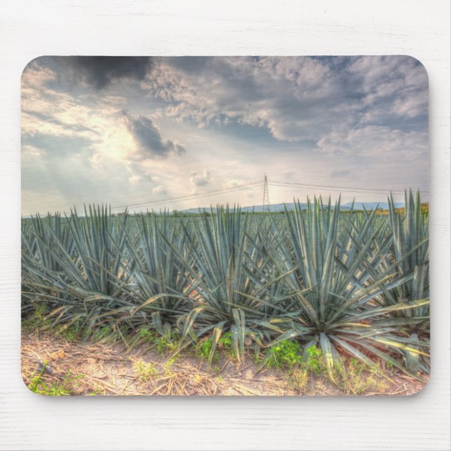 Blue Agave Mouse Pad (Front)