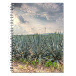 Blue Agave Notebook Blue Agave Notebook