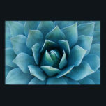 Blue Agave Poster<br><div class="desc">Agave Plant</div>