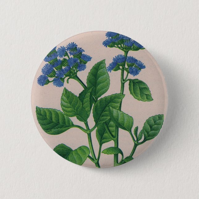 blue ageratum button (Front)
