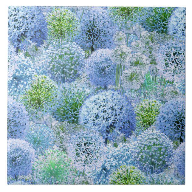 Blue Alliums Ceramic Tile (Front)
