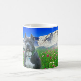 Blue American Pit Bull Terrier, Pikes Peak Coffee Mug