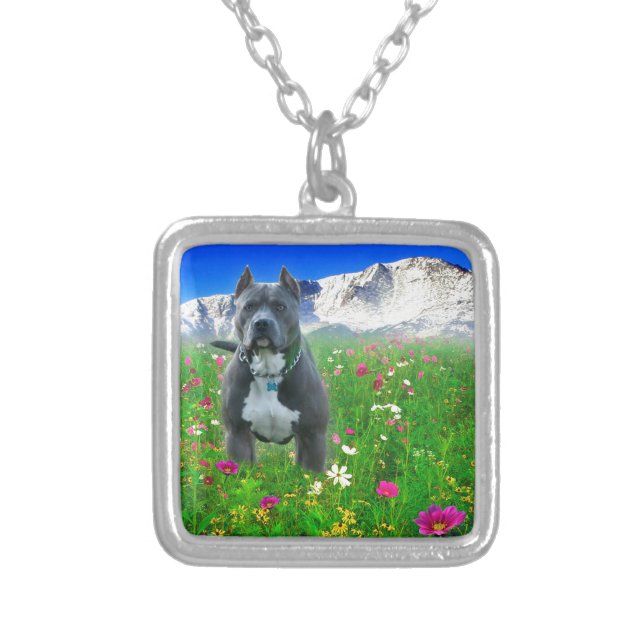 Blue American Pit Bull Terrier, Pikes Peak Silver Plated Necklace (Front)