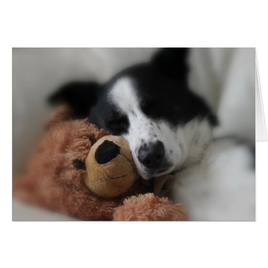 Blue and Bear (Front Horizontal)