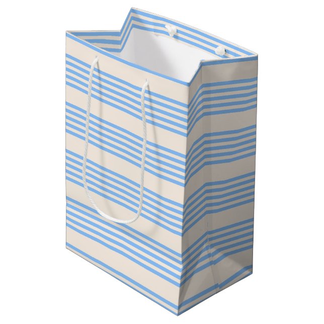 Blue and beige five stripe pattern medium gift bag (Front Angled)