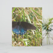 blue and black butterfly (Standing Front)