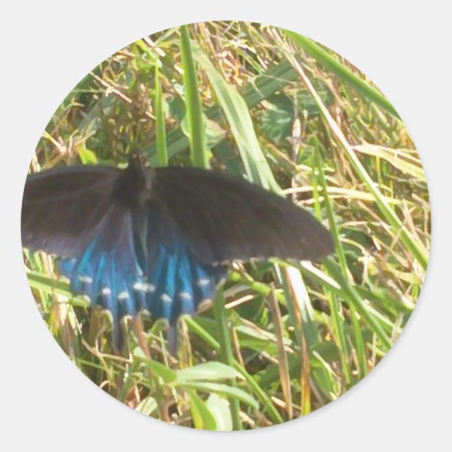 blue and black butterfly classic round sticker (Front)