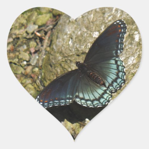 Blue and Black Butterfly Heart Sticker