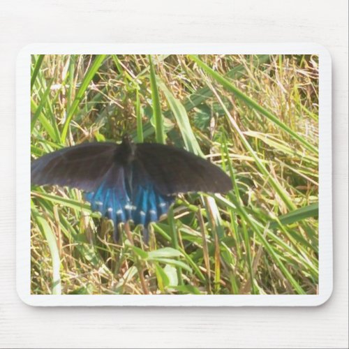 blue and black butterfly mouse pad