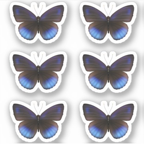 Blue and Black Butterfly Sticker pack Wedding