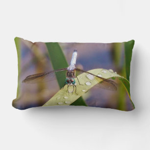 Blue and black dragonfly lumbar pillow