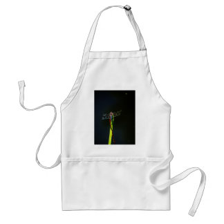 Blue and black Dragonfly on green and red grass Adult Apron