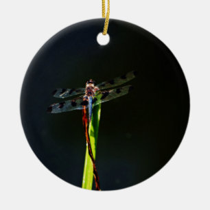 Blue and black  Dragonfly on green and red grass Ceramic Ornament