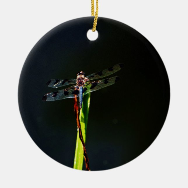 Blue and black  Dragonfly on green and red grass Ceramic Ornament (Front)