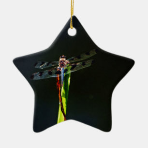 Blue and black Dragonfly on green and red grass Ceramic Ornament