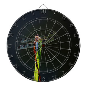 Blue and black Dragonfly on green and red grass Dartboard