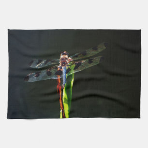 Blue and black Dragonfly on green and red grass Kitchen Towel