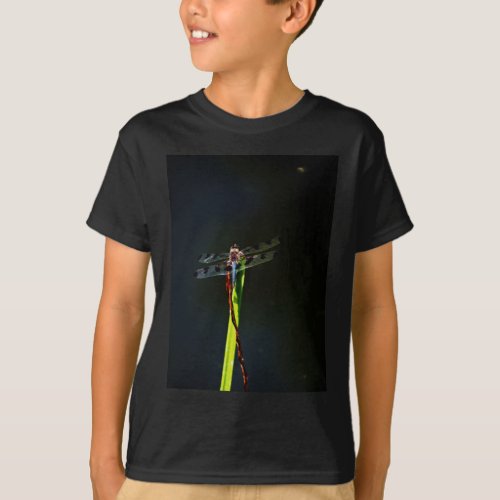 Blue and black  Dragonfly on green and red grass T_Shirt